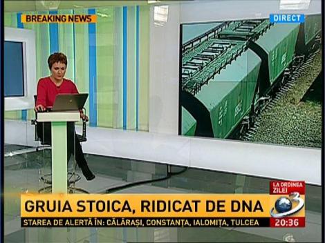 Gruia Stoica, ridicat de DNA