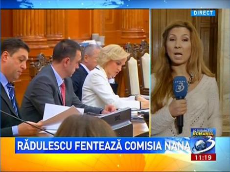 Cum scapă de audieri Adrian Rădulescu în Comisia Nana