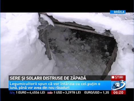 Sere si solarii distruse de zapada