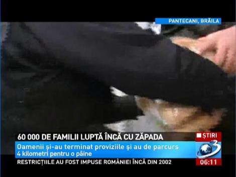 60.000 de familii inca lupta cu zapada