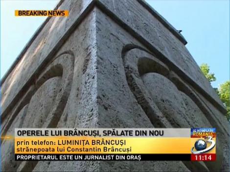 Strănepoata lui Constantin Brâncuşi, despre procedura avizată de Ministerul Culturii