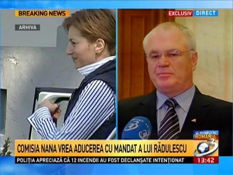 Exclusiv! Eugen Nicolicea, despre aducerea cu mandat a lui Rădulescu
