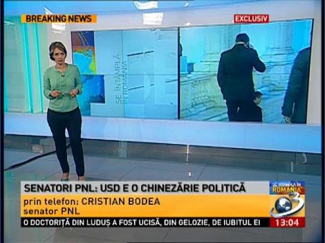 Senatori PNL: USD este o chinezărie politică