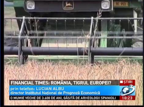Financial Times: România, tigrul Europei?