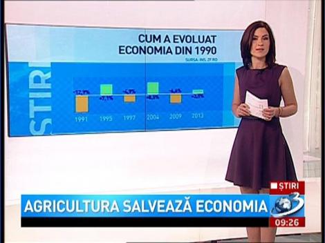 Agricultura salvează economia