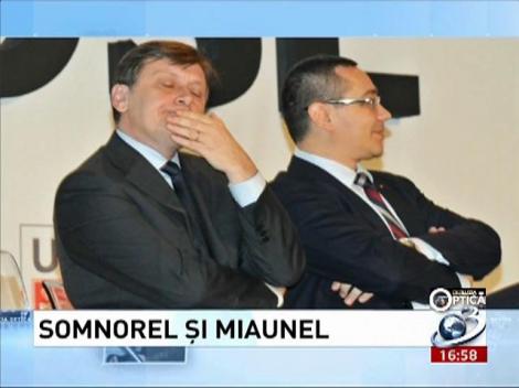 Deziluzia Optică: Somnorel şi Miaunel