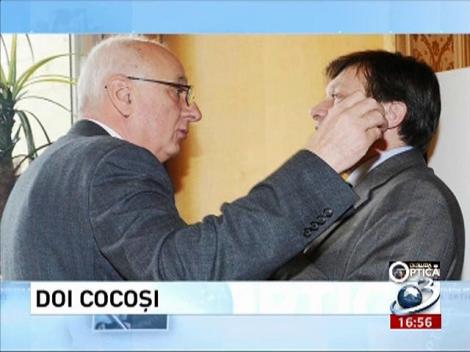 Deziluzia Optică: Doi cocoşi