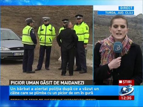 Picior uman descoperit de maidanezi