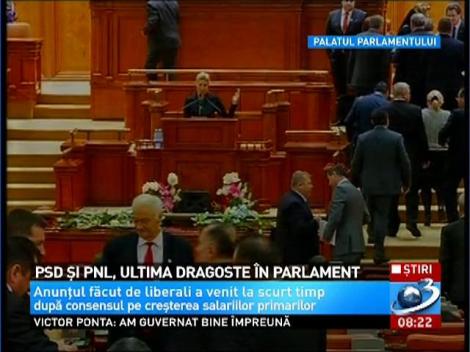 PSD şi PNL, ultima dragoste în Parlament