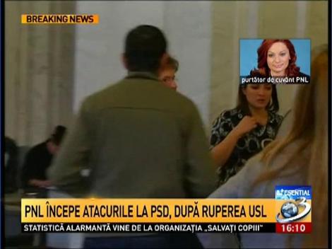 Cristina Pocora: Există un plan prin care să se &icirc;ncerce destabilizarea Partidului Liberal