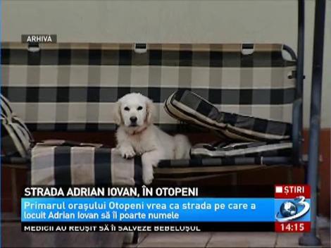 Strada Adrian Iovan, propusă de primarul din Otopeni
