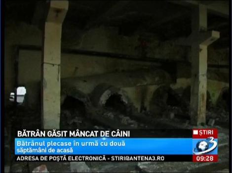 Bătr&acirc;n găsit m&acirc;ncat de c&acirc;ini