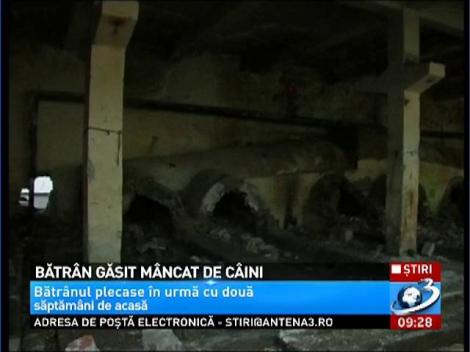 Bătrân găsit mâncat de câini