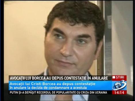 Avocaţii lui Borcea au depus contestaţie în anulare
