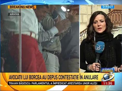 Cum vrea Cristi Borcea să iasă din închisoare