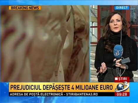 Percheziţii de amploare la 100 de adrese