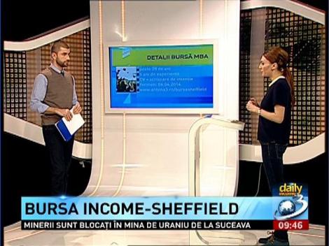 Alina Vasile, director pentru România la Universitatea Sheffield, despre bursa Income