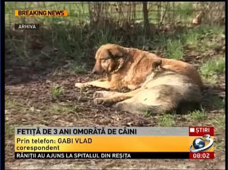 Fetiţă de 3 ani, OMORÂTĂ de câini