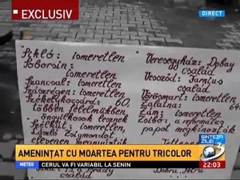 Ce propunere i-a făcut Alessandra Stoicescu lui Cosmin, tânărul cu tricolorul la gât