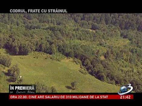 &Icirc;n premieră: Codrul, frate cu străinul - partea  a IV-a