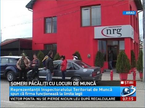 Şomerii din Arad, păcăliţi cu locuri de muncă în străinătate