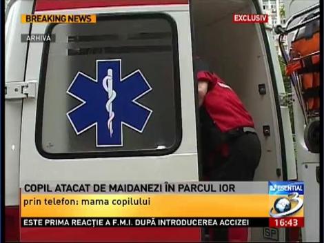 Maidanezii atacă din nou! Un băieţel a fost muşcat în parcul IOR