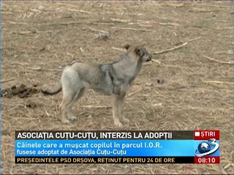 Asociatia Cutu-Cutu, interzis la adoptii