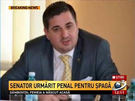 Senator urmarit penal pentru spaga