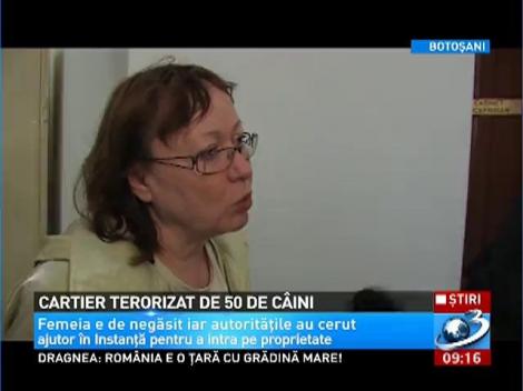 Cartier din Botosani, terorizat de 50 de caini