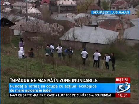 Impadurire masiva in zonele inundabile