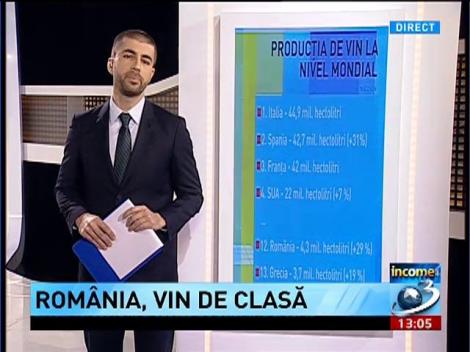 Income Magazine: România în topul celor mai mari producători de vin