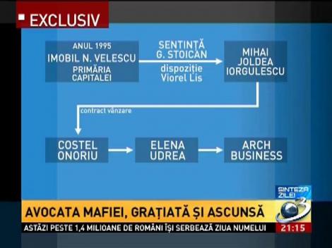 Sinteza Zilei: Avocata mafiei,GRAȚIATĂ de 2 ori de Traian Băsescu