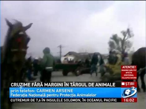 IMAGINI ȘOCANTE! Cruzime fără margini în târgul de animale
