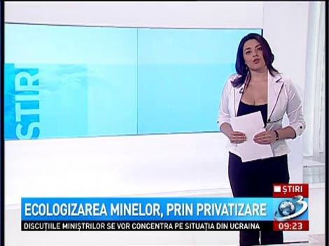 Ecologizarea minelor, prin privatizare