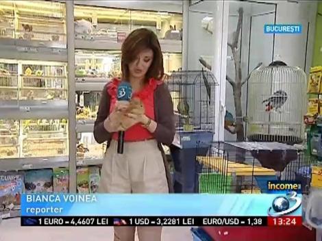 Income: Cât costă prietenia sinceră