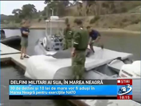 Delfini militari ai SUA, în Marea Neagră