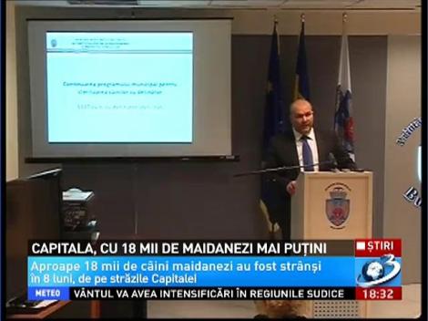 Capitala, cu 18 mii de maidanezi mai puţin