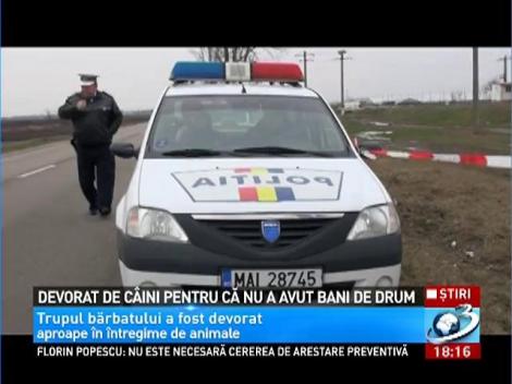 Devorat de câini pentru că nu a avut bani de drum