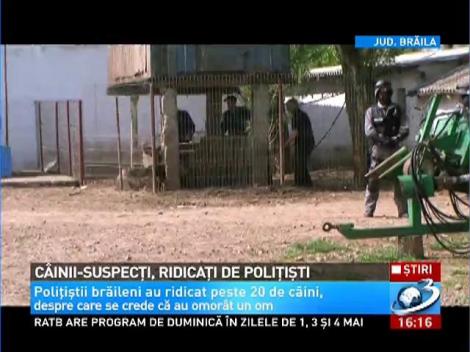 Câinii-suspecţi, ridicaţi de poliţie