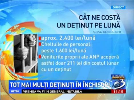 C&acirc;t ne costă un deţinut pe lună