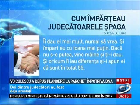 Voiculescu a depus plangere la Parchet împotriva DNA