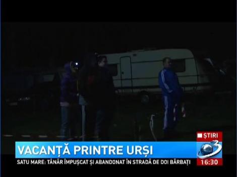 Vacanta printre ursi