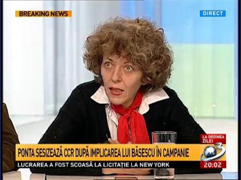 Adina Anghelescu, despre sesizarea CCR