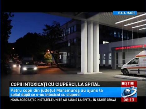 Atenţie mare la ciuperci! Patru copii din Maramureş au ajuns la spital