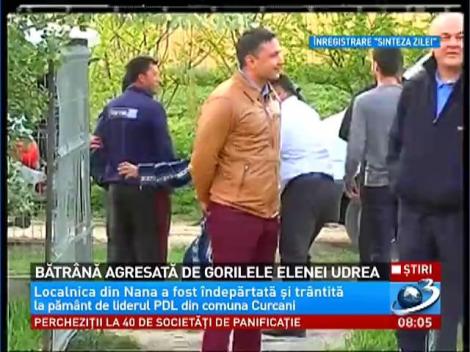 Bătrână agresată de gorilele Elenei Udrea