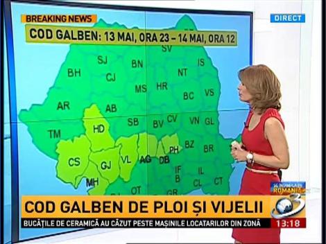 Cod galben de ploi şi vijelii