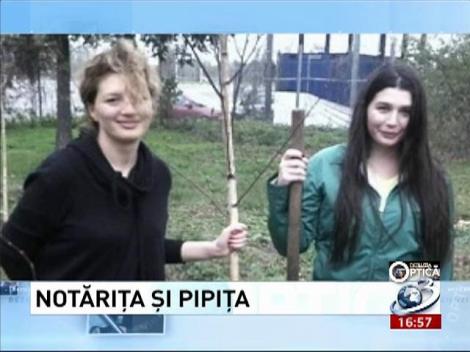 Deziluzia Optică: Notăriţa şi pipiţa