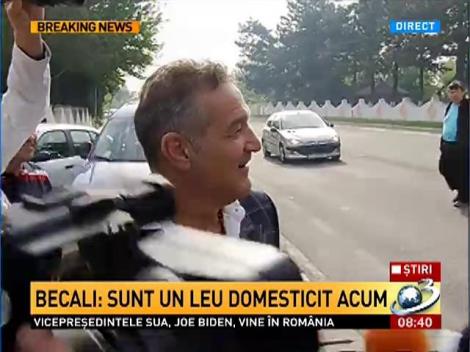 Gigi Becali se întoarce în spatele gratiilor