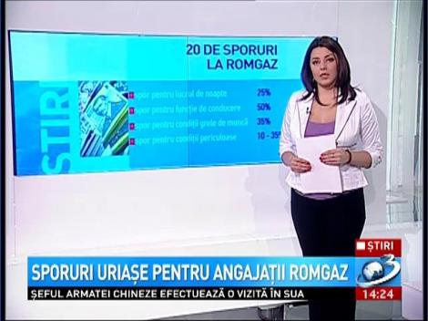 Sporuri uriaşe pentru angajaţii Romgaz