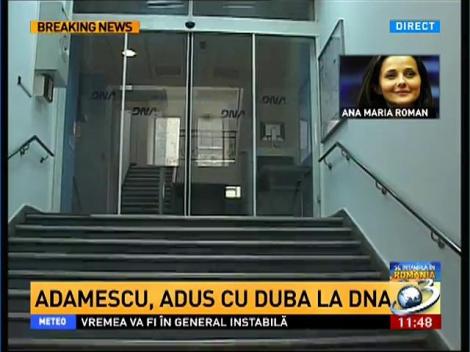 Dana Adamescu, adus cu duba la DNA